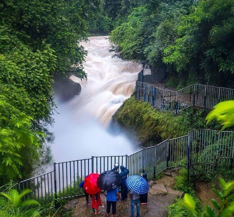 Davis fall (instagram.com/namastee_nepal)