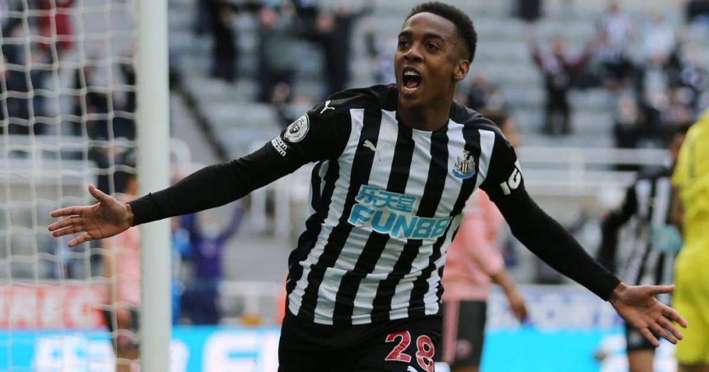 Joe Willock (teamtalk.com)