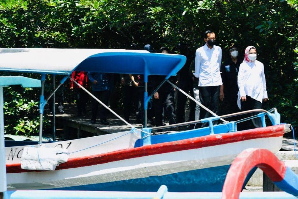 Presiden Jokowi dan Ibu Negara Iriana meninjau Taman Mangrove Ngurah Rai, Bali pada Jumat (8/10/2021). (dok. Biro Pers Kepresidenan)