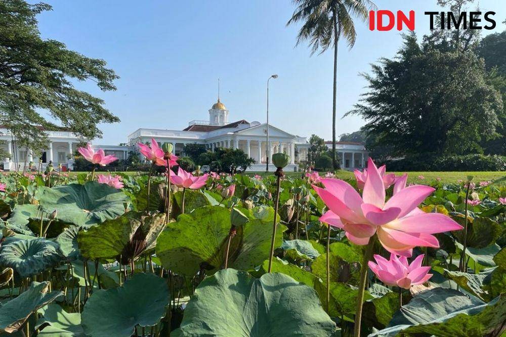 Suasana Istana Bogor pada Sabtu (9/10/2021). (IDN Times/Uni Lubis)