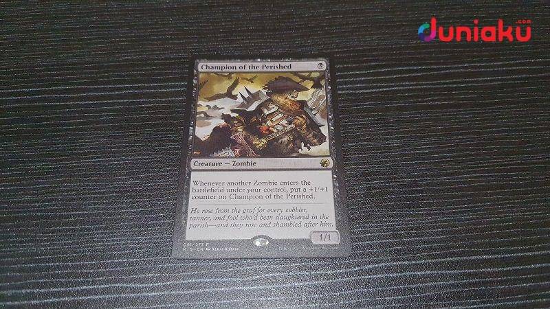 Champion of the Perished. duniaku.com/Adhitya Daniel