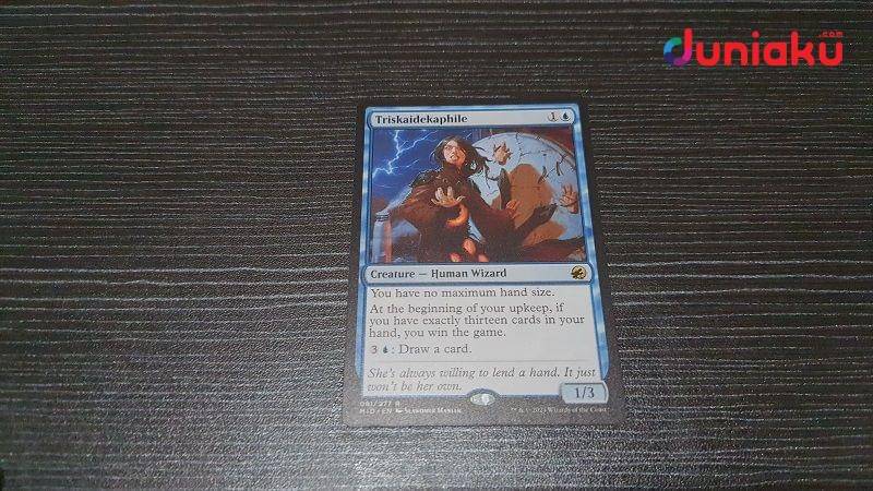 Triskaidekaphile. duniaku.com/Adhitya Daniel