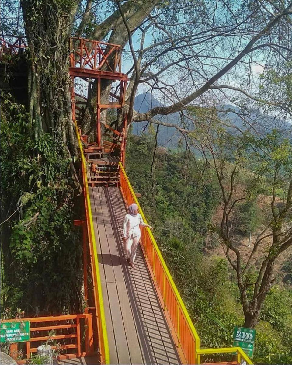 Jembatan di Curug Ciherang, Bogor (instagram.com/khairunnisah.s)