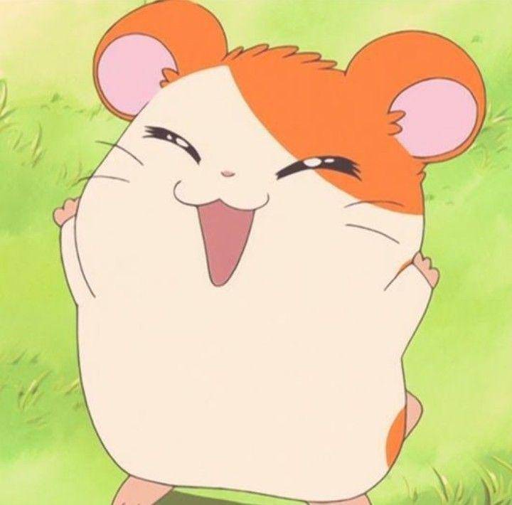 karakter Hamtaro (dok. TMS Entertainment/Hamtaro)