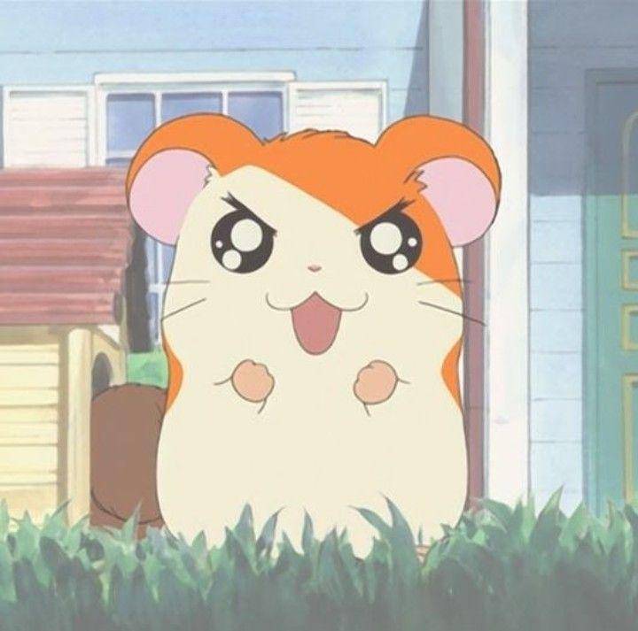 karakter Hamtaro (dok. TMS Entertainment/Hamtaro)