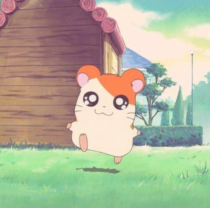 karakter Hamtaro (dok. TMS Entertainment/Hamtaro)