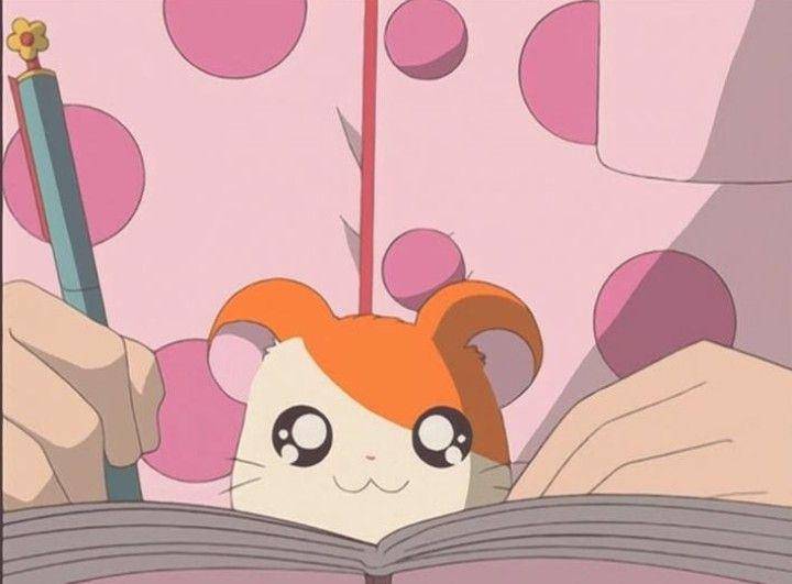karakter Hamtaro (dok. TMS Entertainment/Hamtaro)