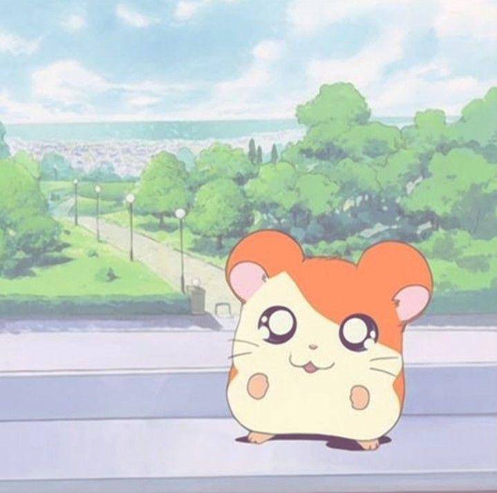 karakter Hamtaro (dok. TMS Entertainment/Hamtaro)
