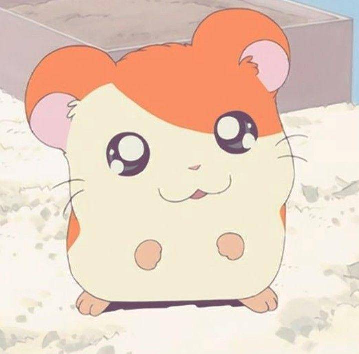 karakter Hamtaro (dok. TMS Entertainment/Hamtaro)