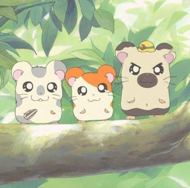 karakter Hamtaro, Oxnard, dan Boss (dok. TMS Entertainment/Hamtaro)