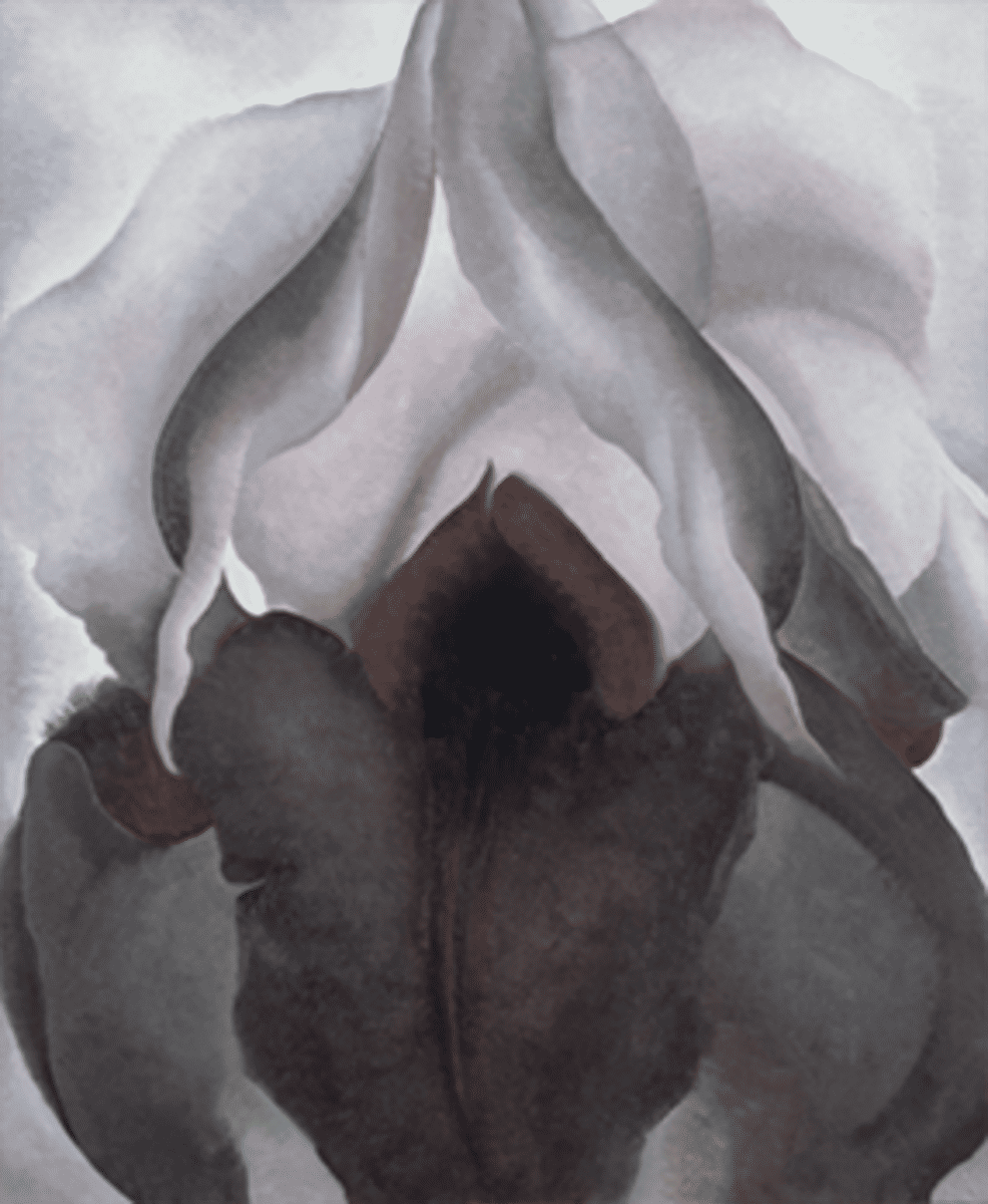 Lukisan "Black Iris" karya Georgia O'Keeffe. (wikipedia.org)