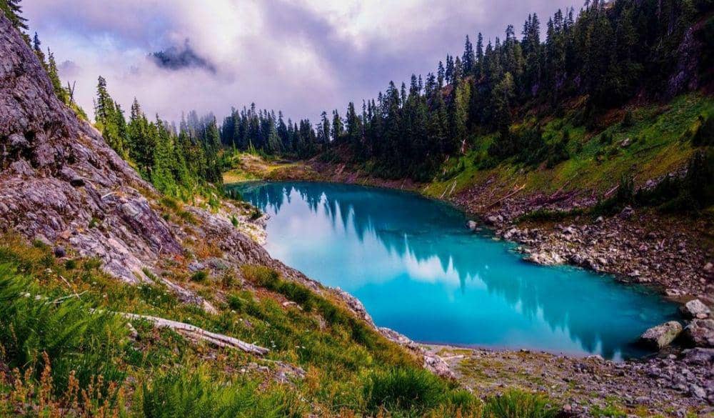 9 Fakta Taman Nasional Olympic, Keindahannya Menghipnotis!