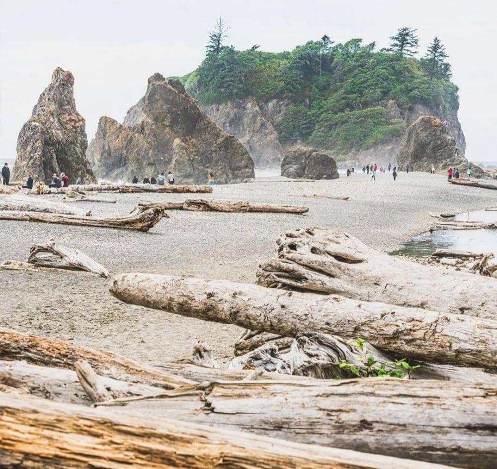 Taman Nasional Olympic (instagram.com/pw_rusty)