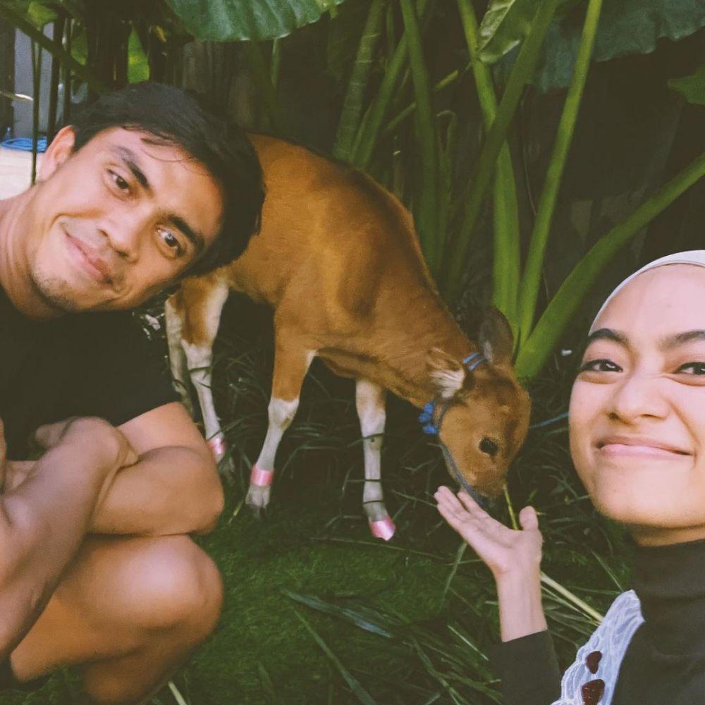 Ditto saat beri kejutan anak sapi untuk Ayudia Bing Slamet (instagram.com/ayudiac)
