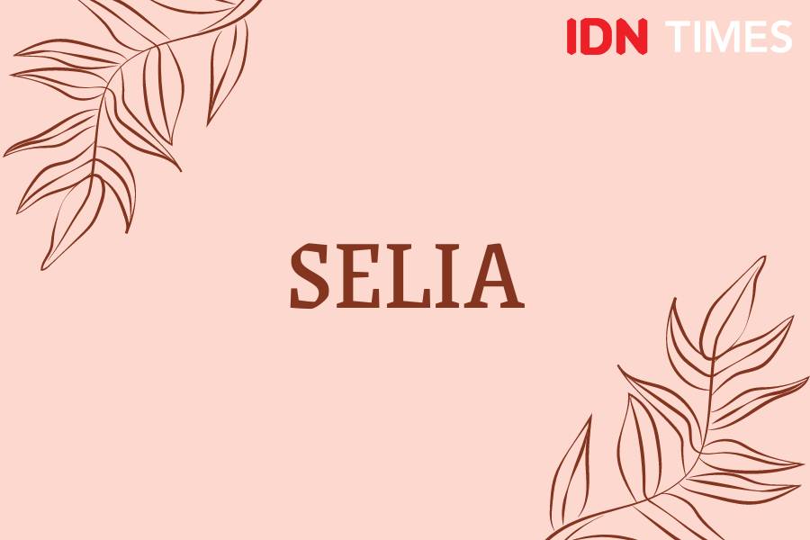 Diksi Bahasa Indonesia estetik dan indah (IDN Times/M. Tarmizi Murdianto)
