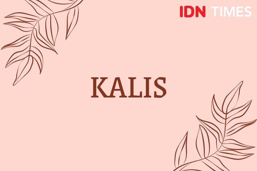 Diksi Bahasa Indonesia estetik dan indah (IDN Times/M. Tarmizi Murdianto)