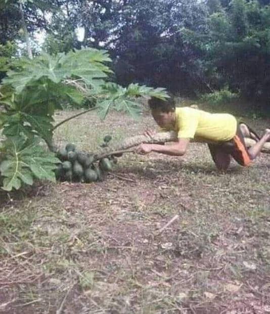 bapak-bapak menikmati makanan (Instagram.com/receh.id)