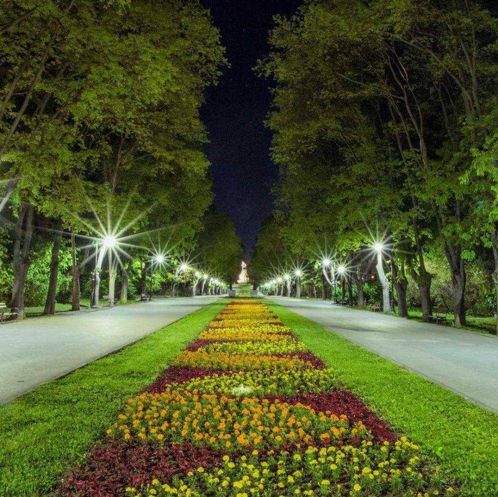 Sea Garden (instagram.com/novavarna)
