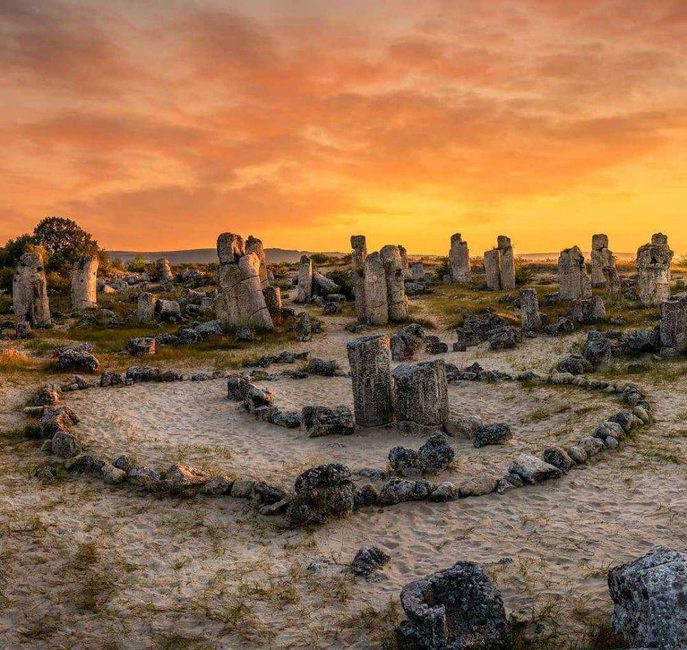 Stone Forest (instagram.com/v.for.varna)