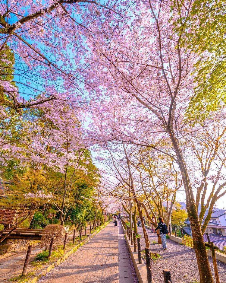 Philoshoper's Path