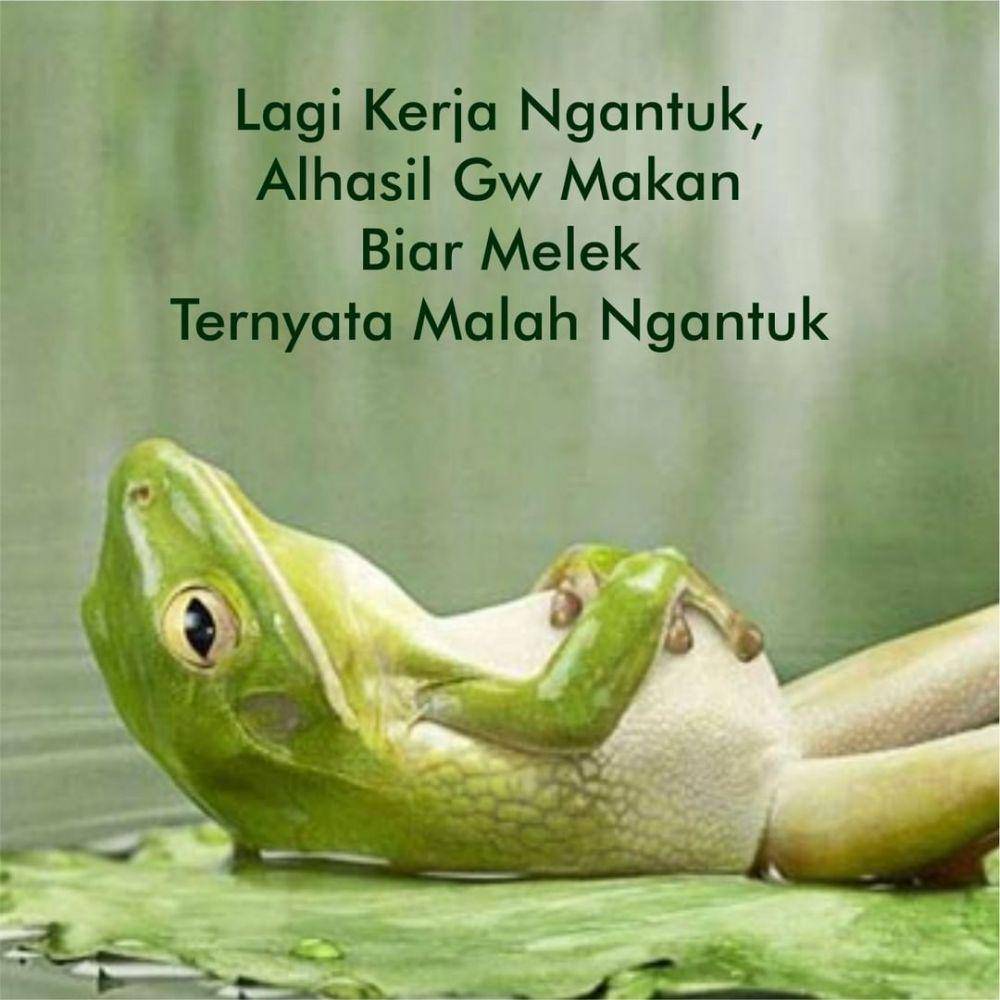 meme tidur (instagram.com/morangmorengsnack)