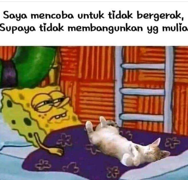 meme tidur (instagram.com/wudd_al_jayadath)