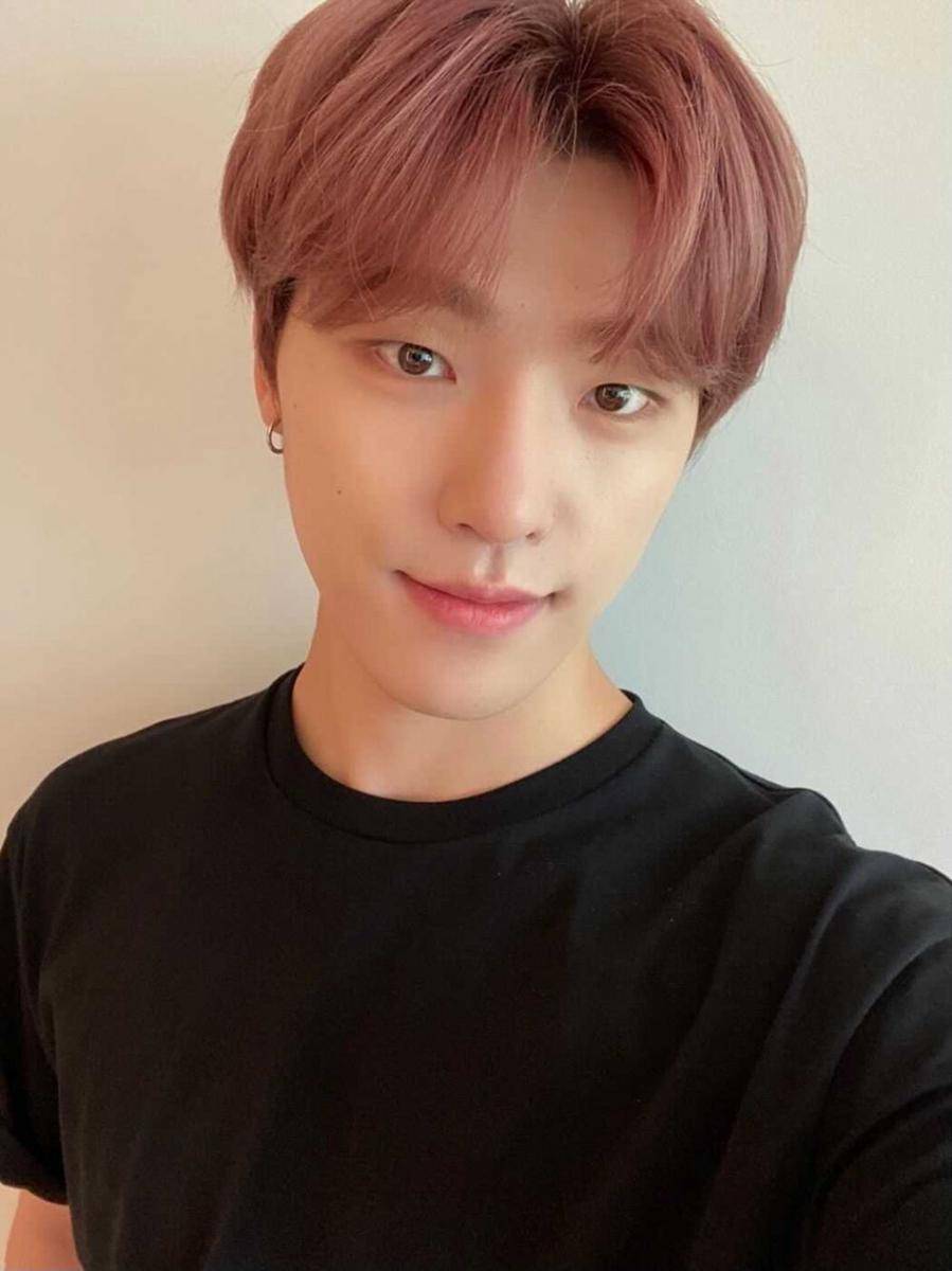 Dino SEVENTEEN (twitter.com/pledis_17)