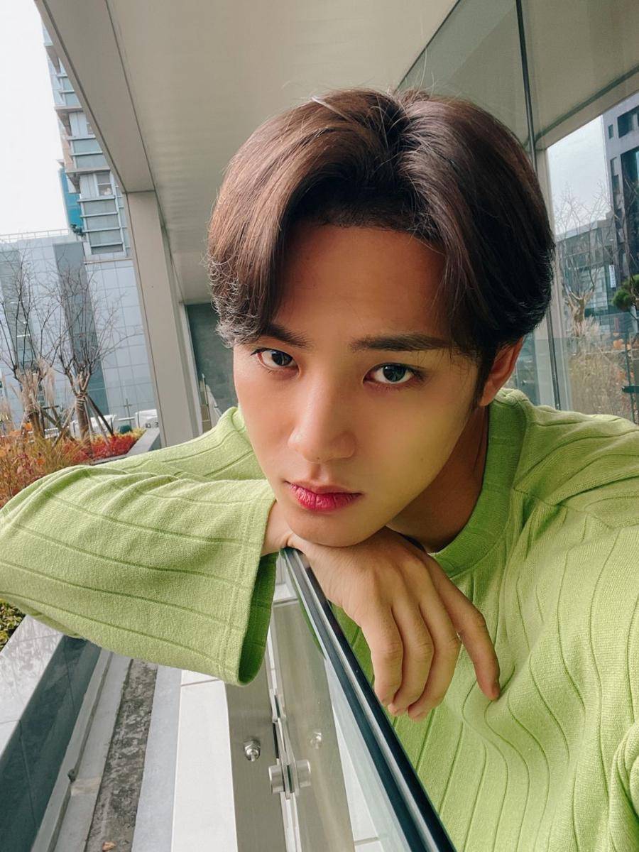 Mingyu SEVENTEEN (twitter.com/pledis_17)