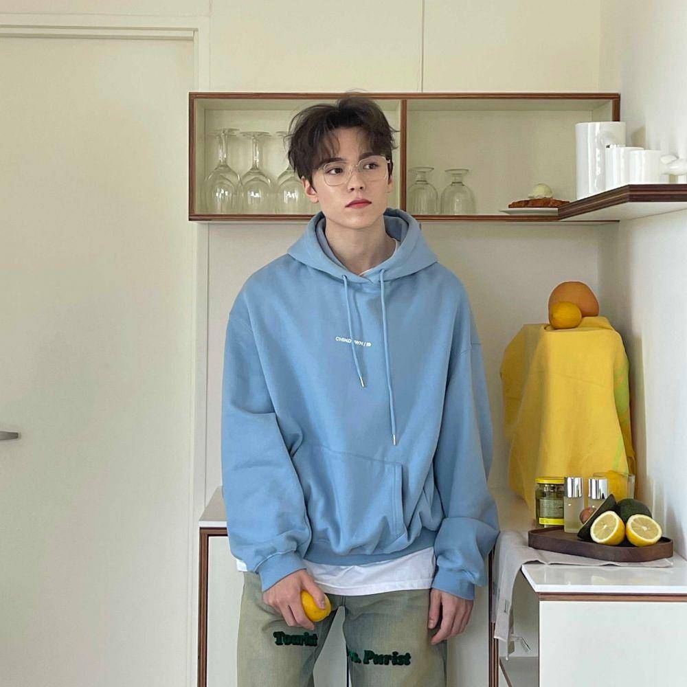 Vernon SEVENTEEN (twitter.com/pledis_17)
