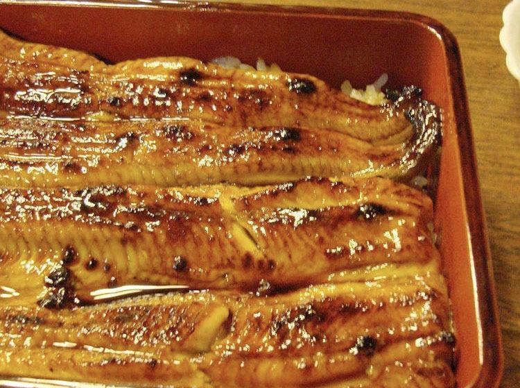 5 Sajian Kuliner Tradisional Unagi, Sidat Lezat ala Jepang
