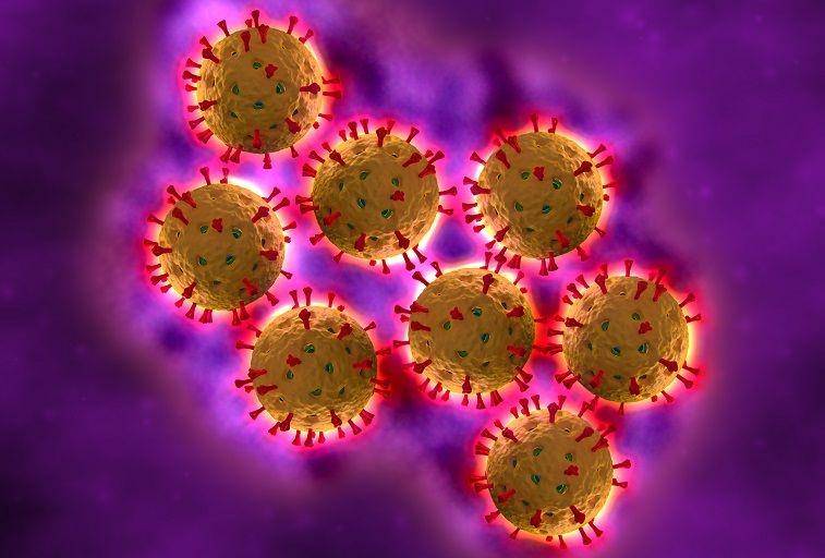 ilustrasi rotavirus yang bisa menyebabkan gastroenteritis (nfid.org)