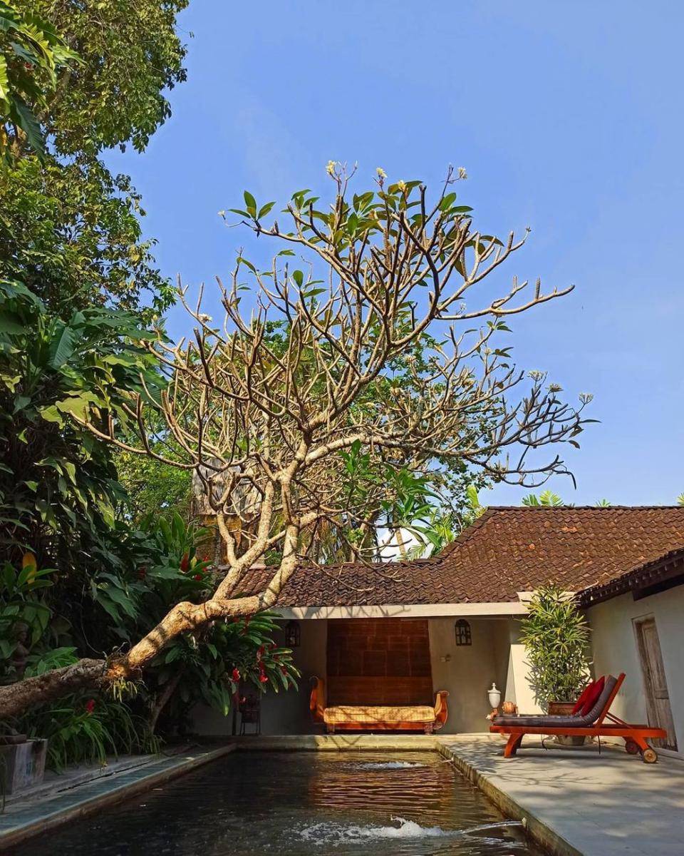 D'Omah Hotel Yogya (instagram.com/domahyogya)
