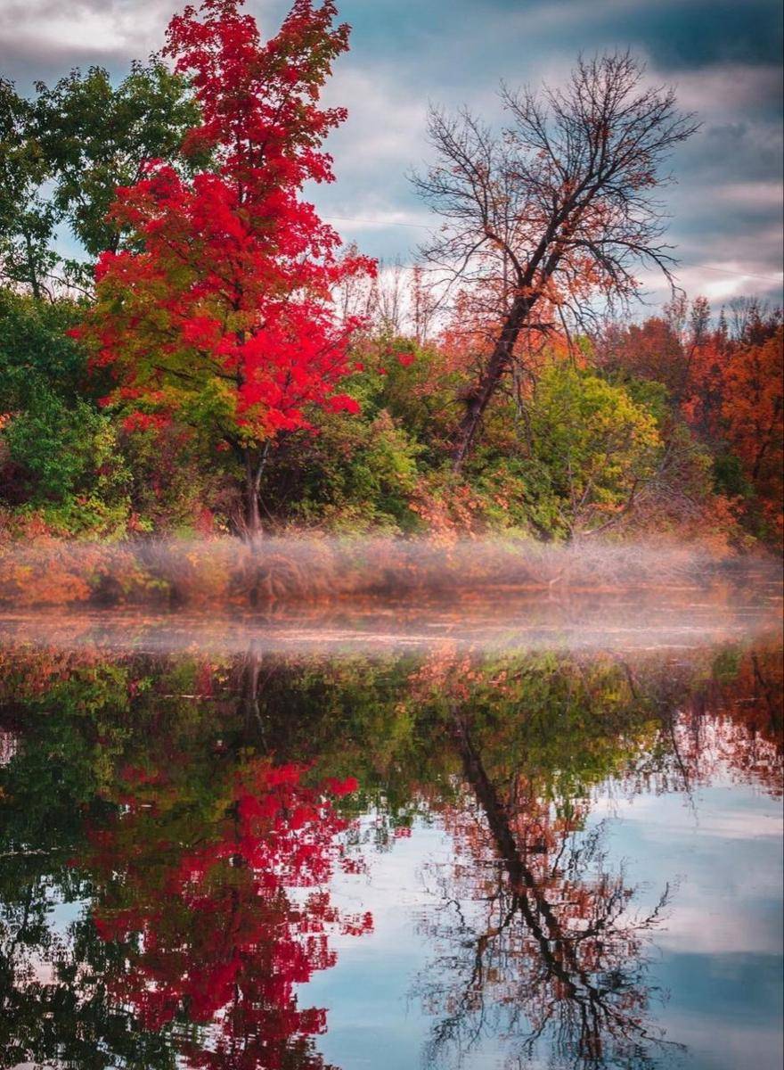 pesona Ontario pada musim gugur (instagram.com/theplanetd)