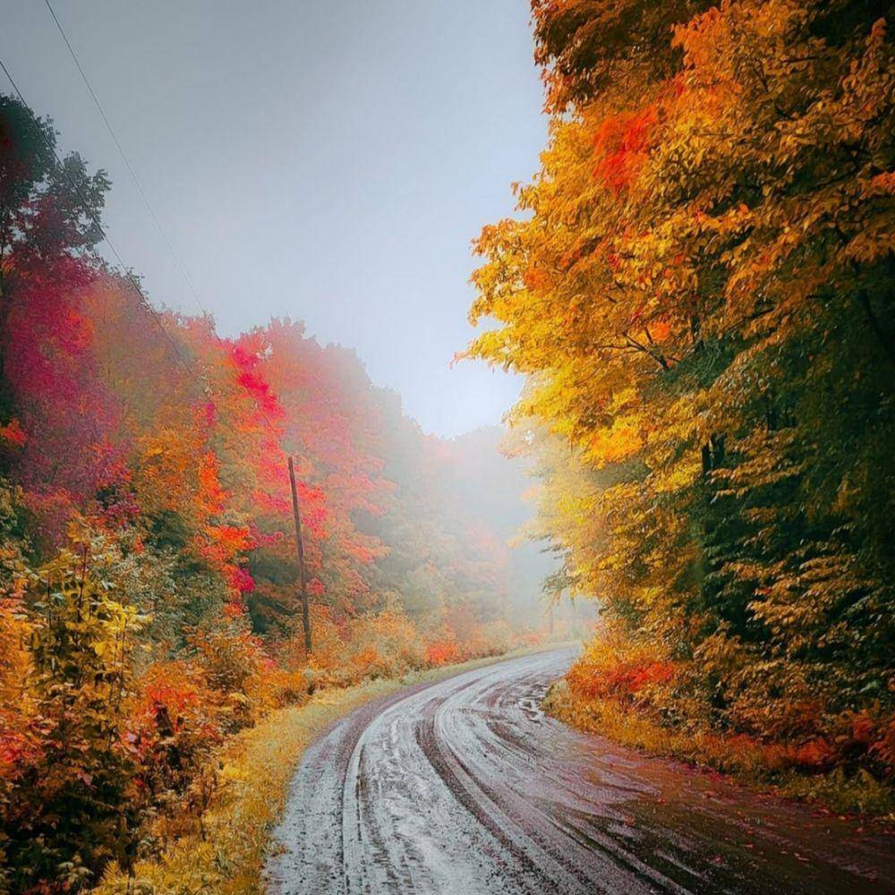 pesona Ontario pada musim gugur (instagram.com/rahuul_s)