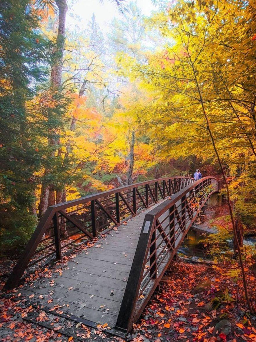 pesona Ontario pada musim gugur (instagram.com/rahuul_s)