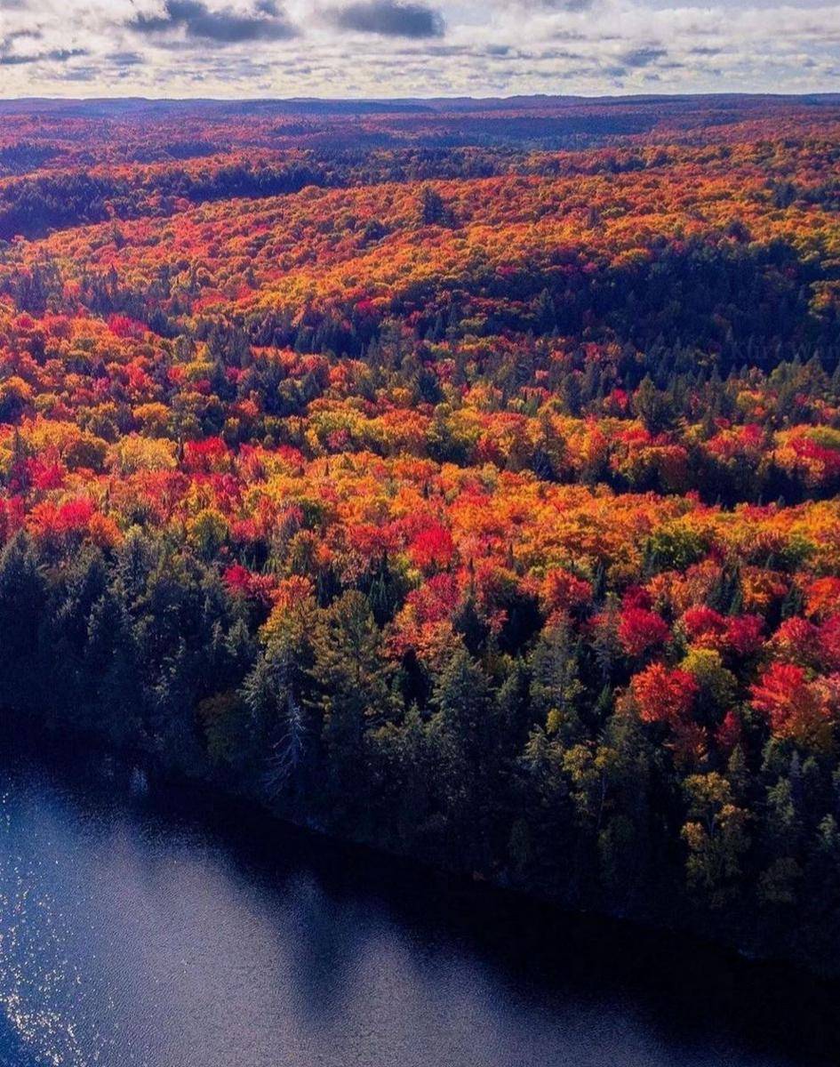 pesona Ontario pada musim gugur (instagram.com/_canadaparadise_)
