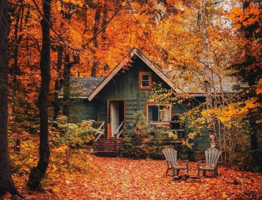 pesona Ontario pada musim gugur (instagram.com/travelinmoonlight)