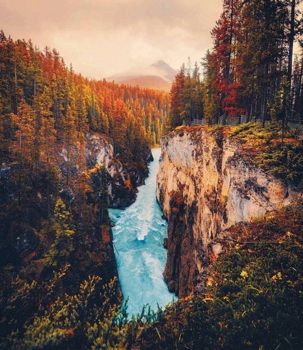 pesona Ontario pada musim gugur (instagram.com/travelinmoonlight)