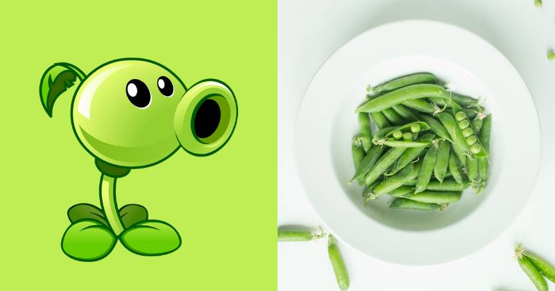 karakter Peashooter dan ilustrasi kacang polong (dok. PopCap Games/Plants vs. Zombies 2 | unsplash.com/Nicholas Barbaros)