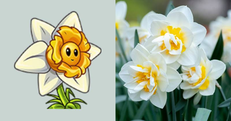 karakter Draftodil dan ilustrasi bunga daffodil (dok. PopCap Games/Plants vs. Zombies 2 | unsplash.com/Yoksel Zok)