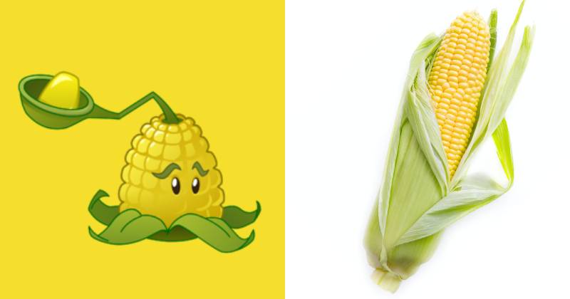 karakter Kernel-pult dan ilustrasi jagung (dok. PopCap Games/Plants vs. Zombies 2 | pexels.com/mali maeder)