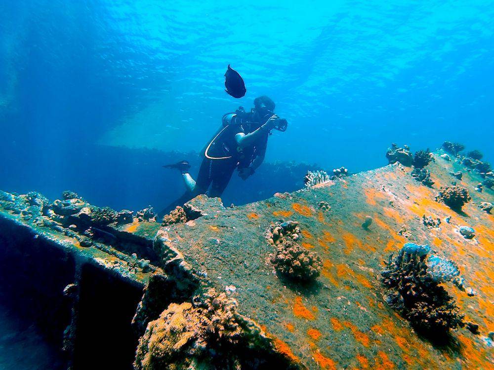 ilustrasi wreck diving (pexels.com/AymanZaki)