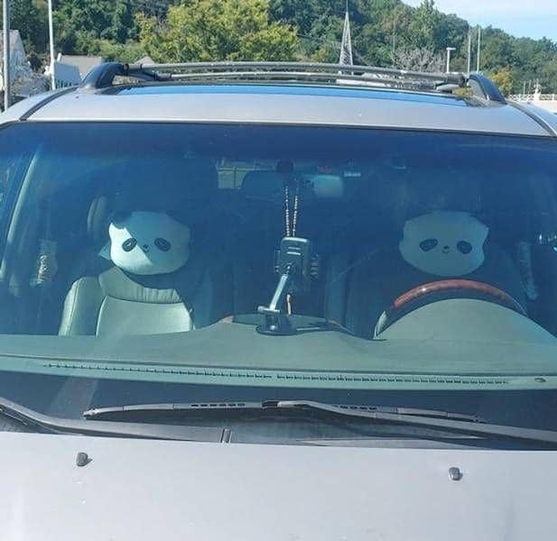 potret janggal bak ilusi optik (brightside.me)