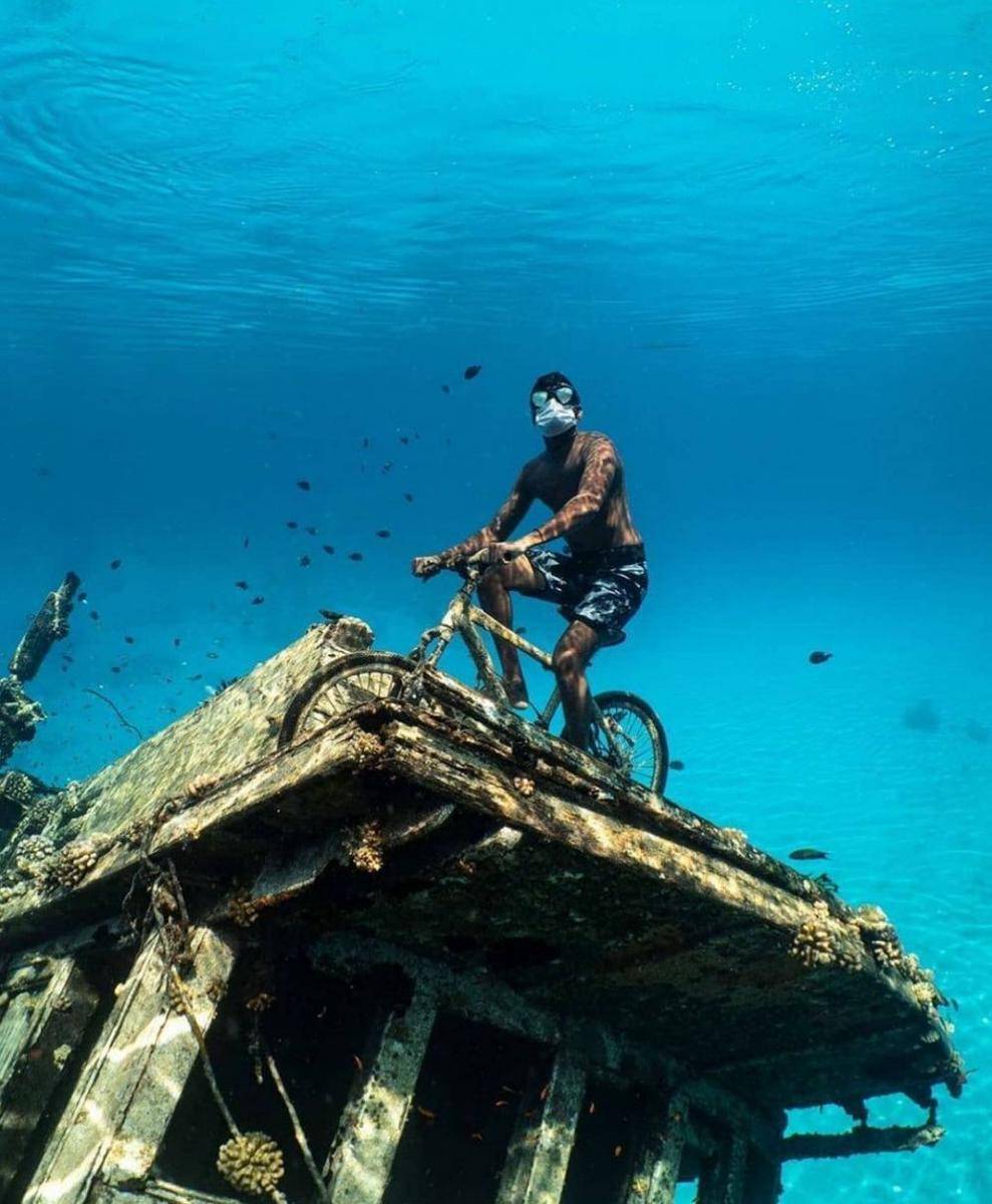 Underwater World Langkawi (instagram.com/amazediving)