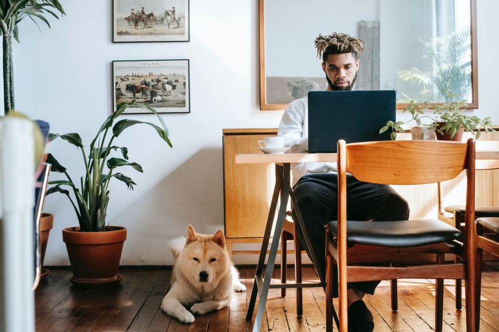 ilustrasi pria di depan laptop (pexels.com/Zen Chung)