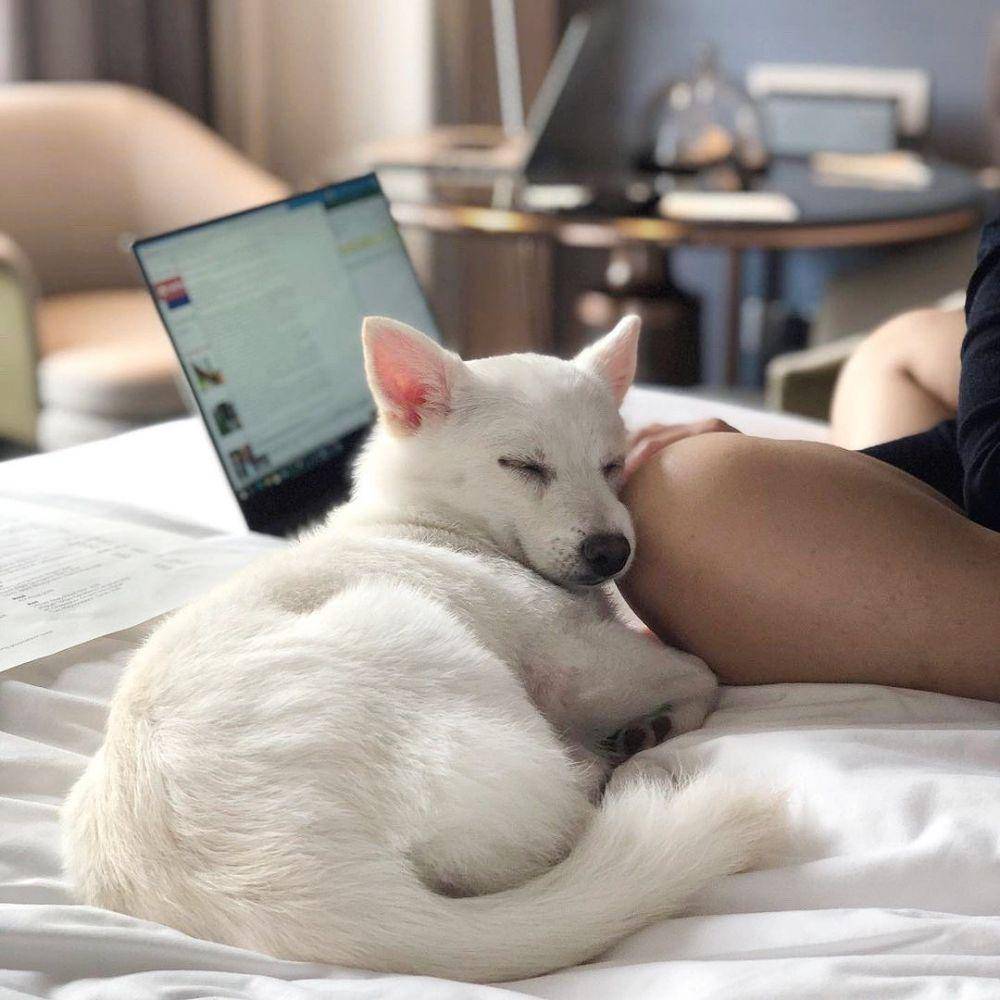 Four Seasons Hotel Singapore (instagram.com/fssingapore)