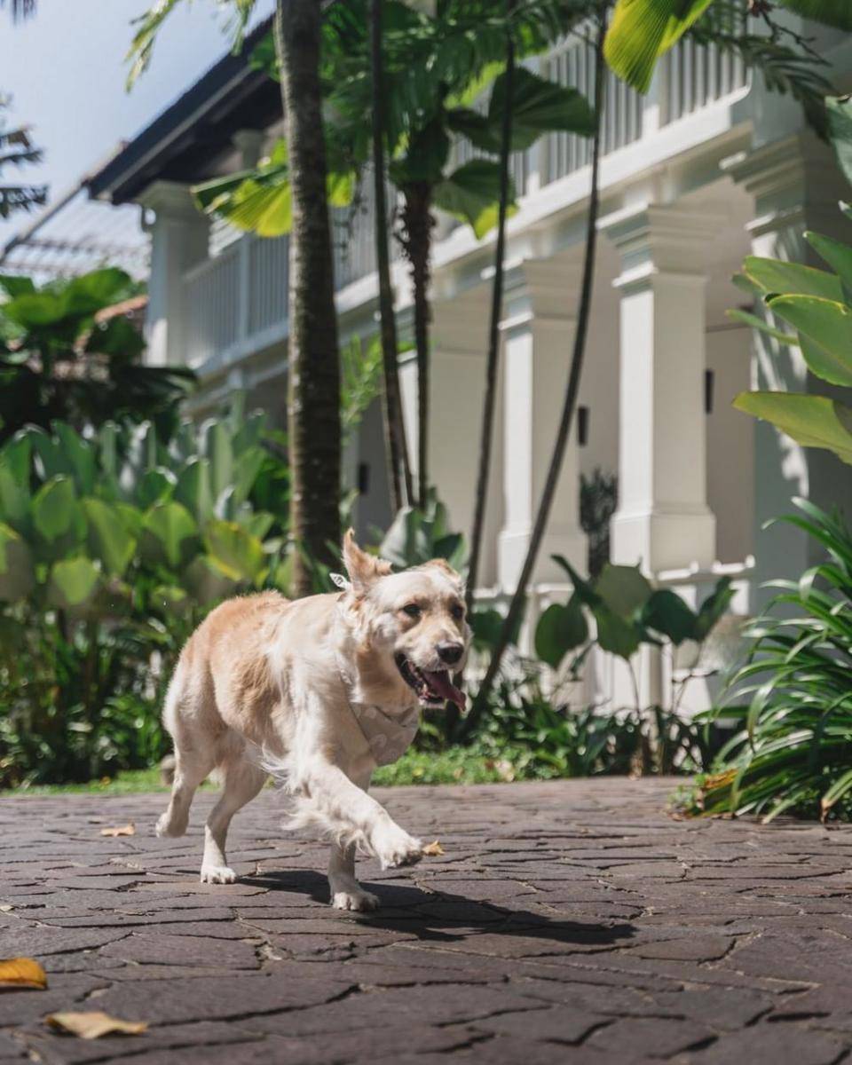 Amara Sanctuary Resort Santosa (instagram.com/amarasanctuary)