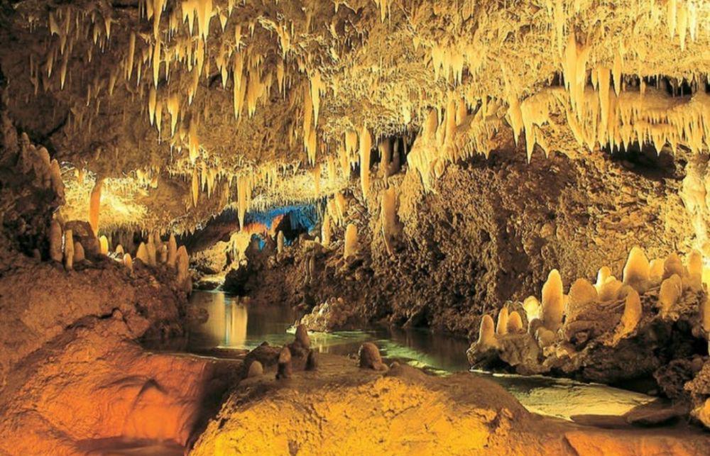 5 Destinasi Wisata Alam di Barbados yang Keindahannya Diakui Dunia
