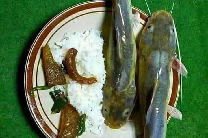 10 Potret Makan Ikan yang Bikin Geleng-geleng Kepala, Nyeleneh Pol!