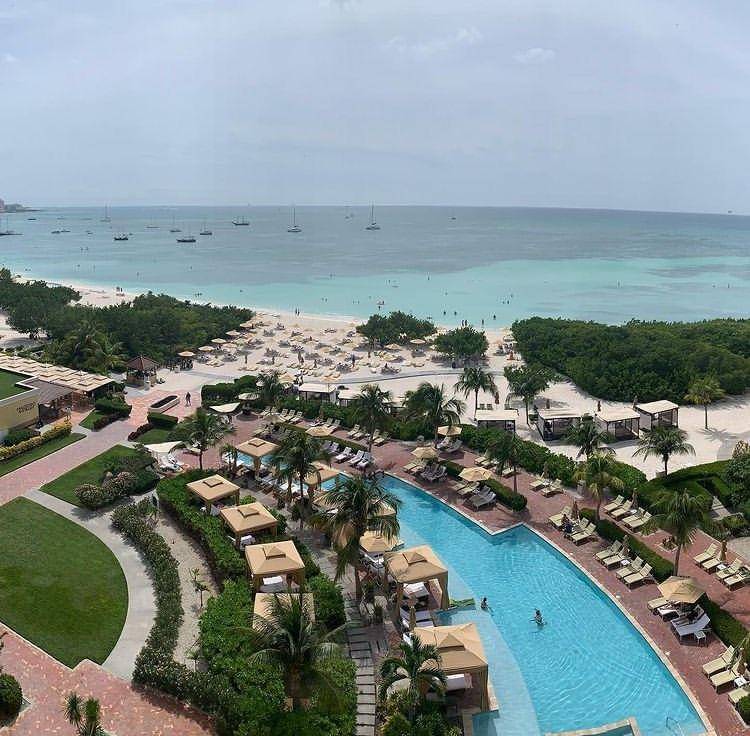 Palm beach (instagram.com/fizalex)